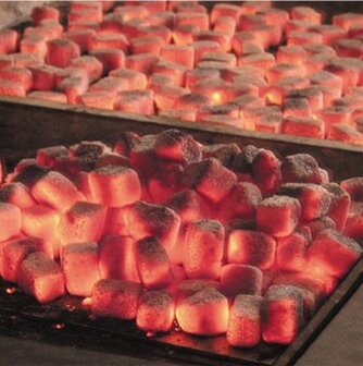 ECOBrasa kokosschaalbriketten 10kg