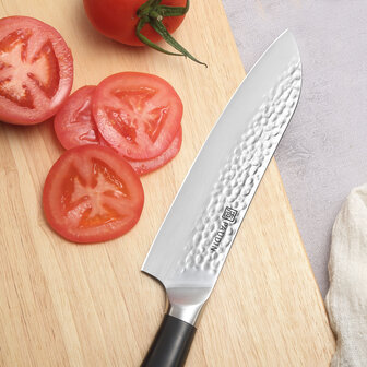 Paudin Hammered Premium HP3 Santoku